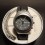 MD_sito2013_vespawatch_03
